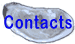 Go to contacts page